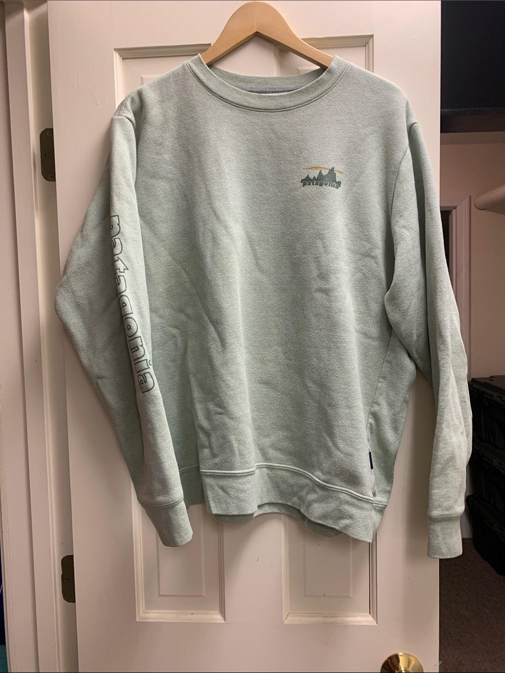 Patagonia Men's L women’s XL Crewneck Sweatshirt in Sage Green